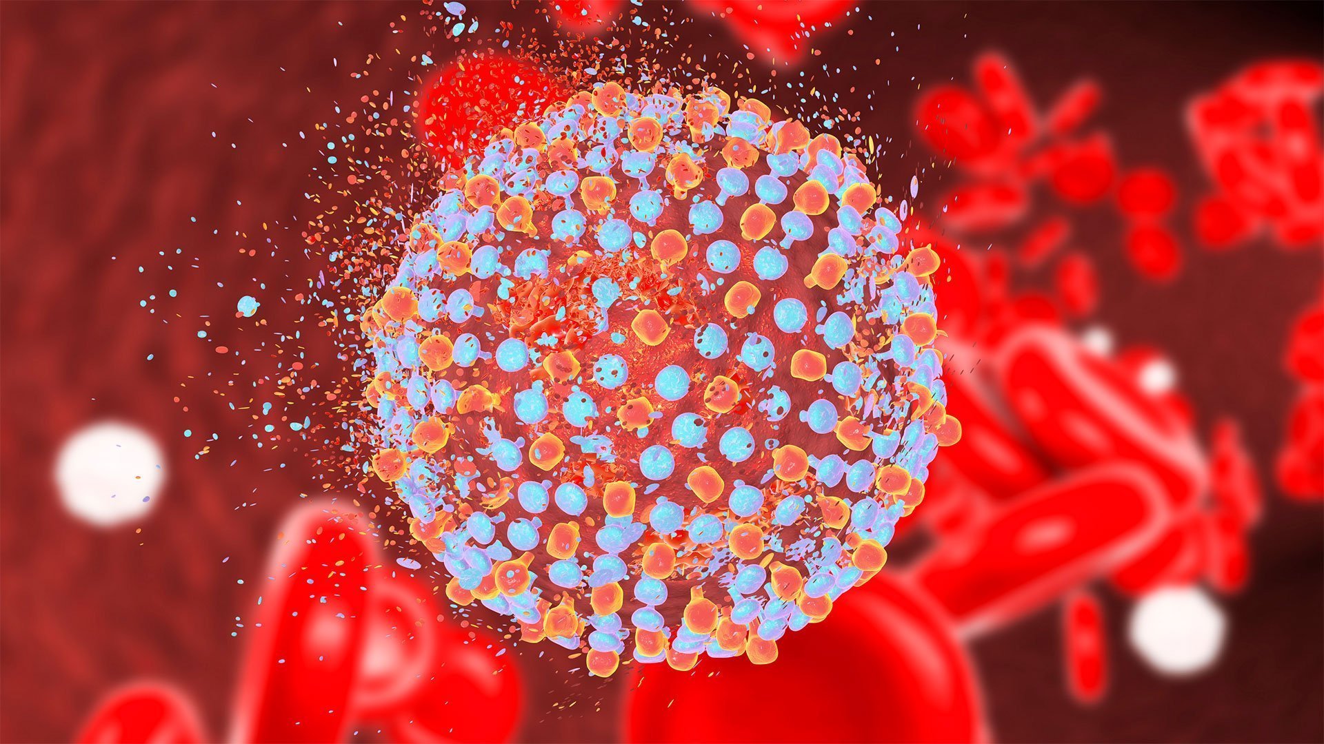 Microeliminació: Un camí cap a l’eliminació global de l’hepatitis C