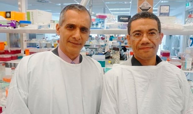 Proponen cambiarle el nombre al hígado graso no alcohólico