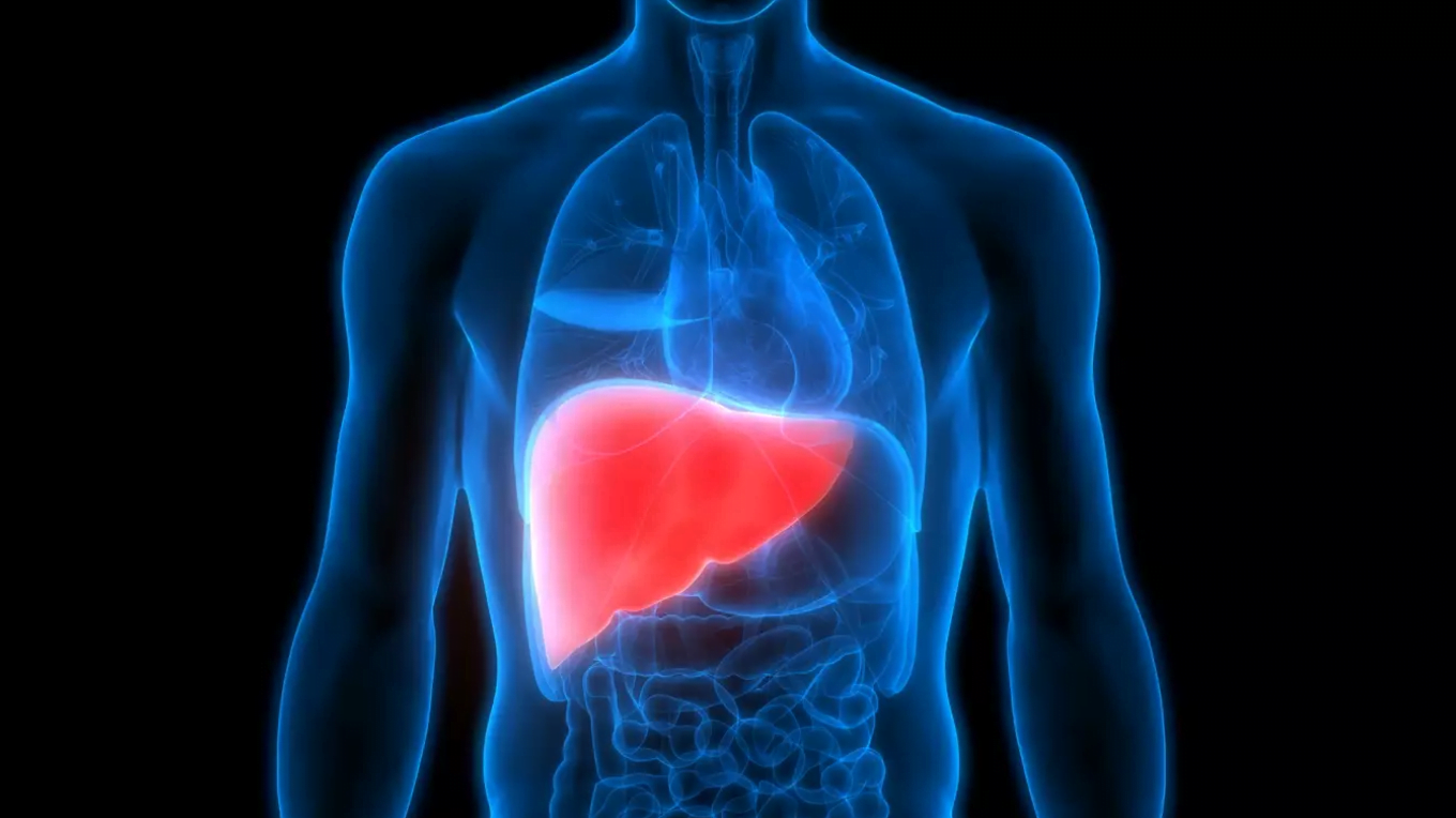 Un estudio descubre nuevos enfoques de tratamiento para los pacientes con cáncer de hígado