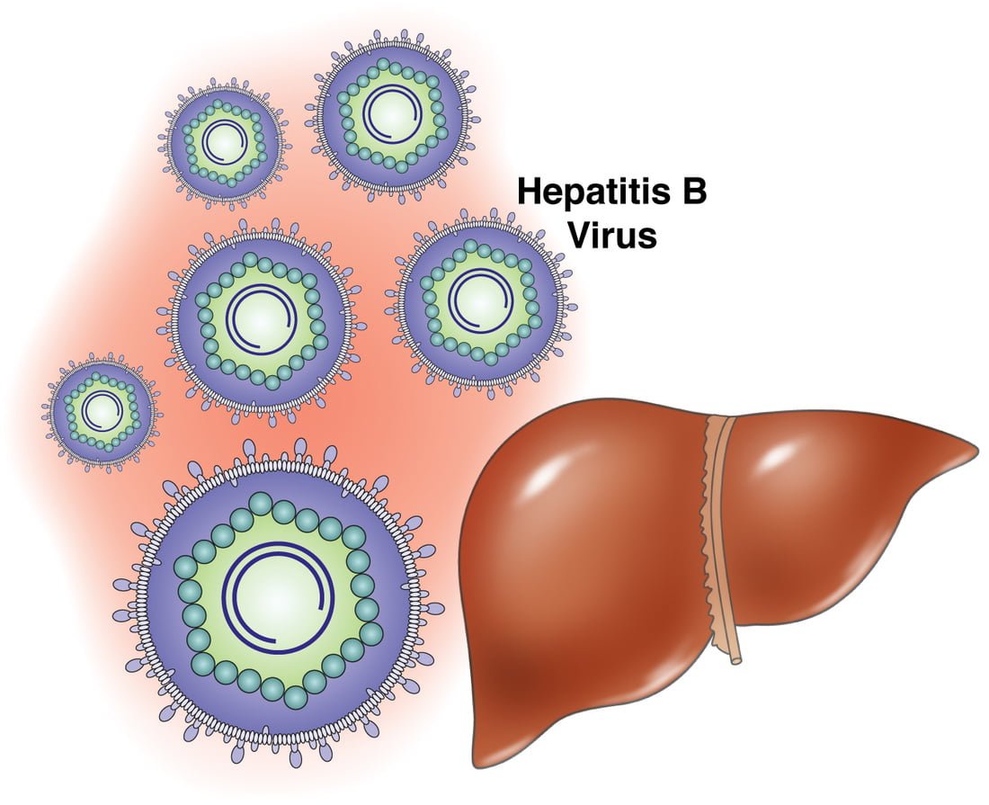 Una experta de la OMS pide la implicación de toda la sociedad para acabar con las hepatitis B y C