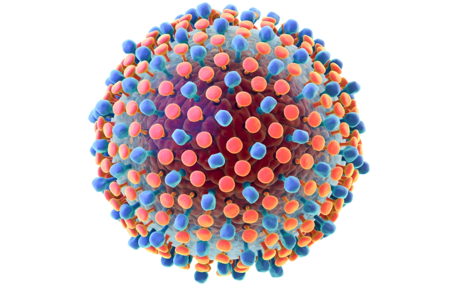 La importancia de la detección de la hepatitis C en poblaciones vulnerables