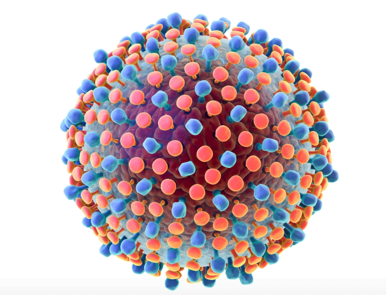 Un nuevo tipo de antivirales combate la hepatitis E