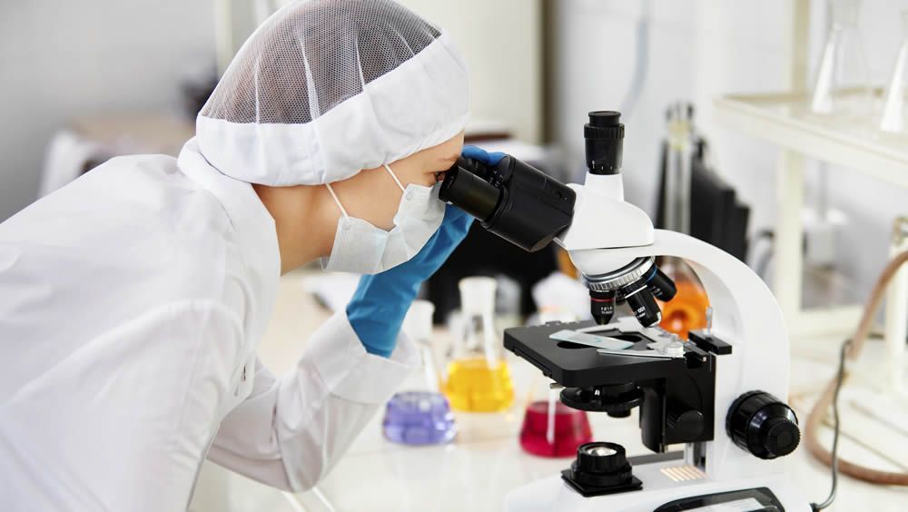 Un tipo de célula reguladora puede controlar la regeneración del hígado